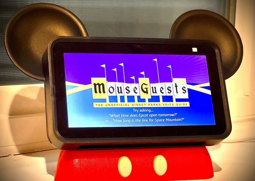 The Mouse Guests Skill on an Echo Show 5